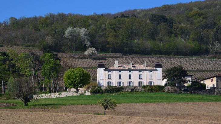 Château de Souzy - Quincié-en-Beaujolais