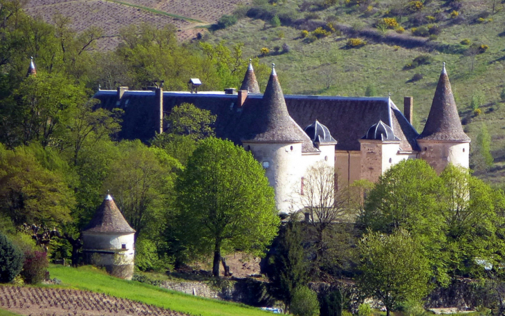 Château de Varennes - Quincié-en-Beaujolais