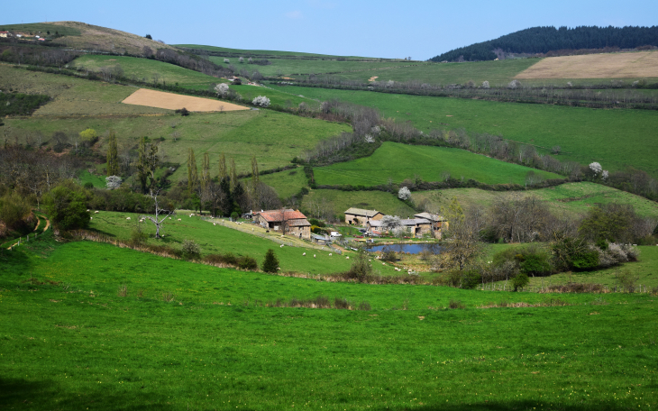 Les Hauts - Rivolet