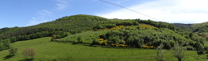 Vue panoramique - Rivolet