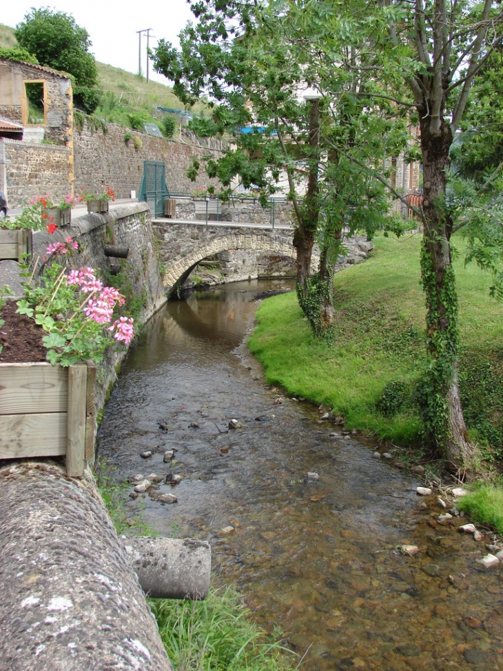 Saint-Clément-Sur-Valsonne -5- (2008 05 24)