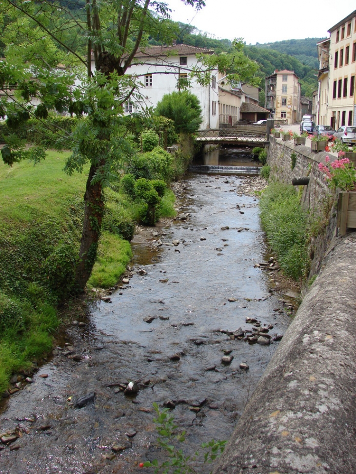 Saint-Clément-Sur-Valsonne -7- (2008 05 24)