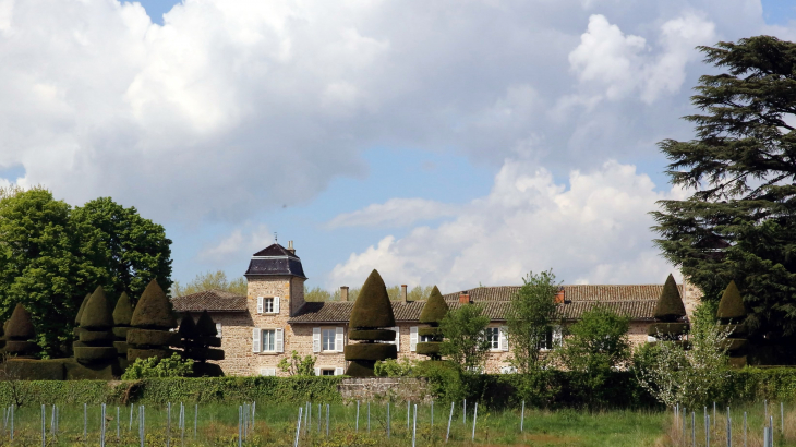 Château de Lacarelle - Saint-Étienne-des-Oullières