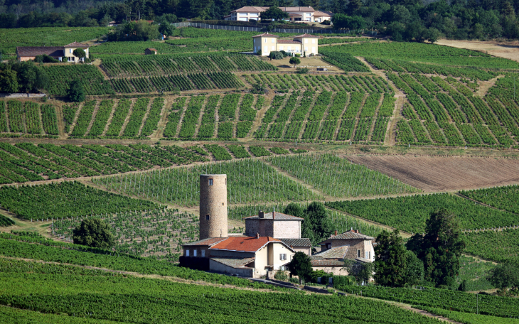 Château des Tours - Saint-Étienne-la-Varenne