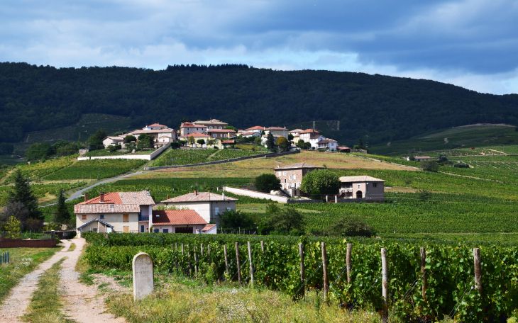 Vue panoramique - Saint-Étienne-la-Varenne