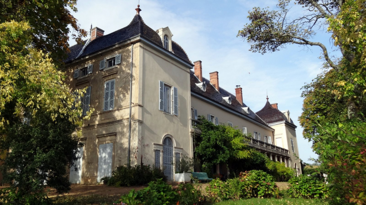 Château du Bluizard - Saint-Étienne-la-Varenne