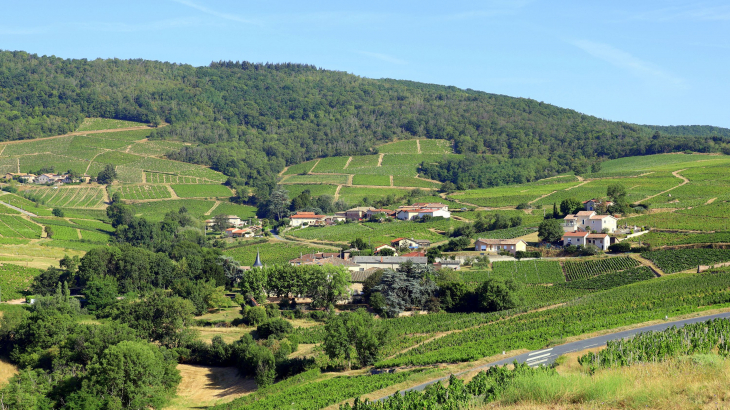 Vue panoramique - Saint-Étienne-la-Varenne