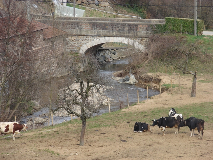 Le Torrenchin - Saint-Forgeux