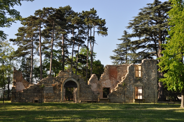 Le parc de Beauregard - Saint-Genis-Laval