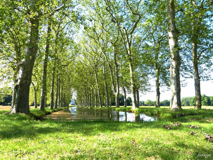 Saint-Georges-de-Reneins. Parc du Château de Laye. 