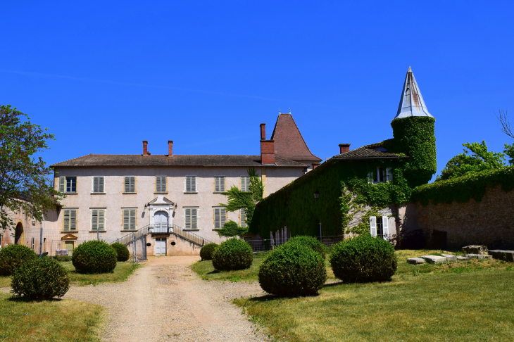 Château de Boistray - Saint-Georges-de-Reneins