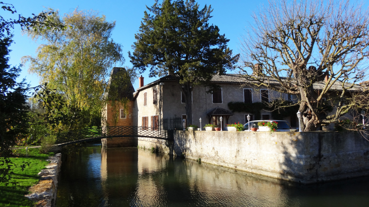 Château de Marzé - Saint-Georges-de-Reneins