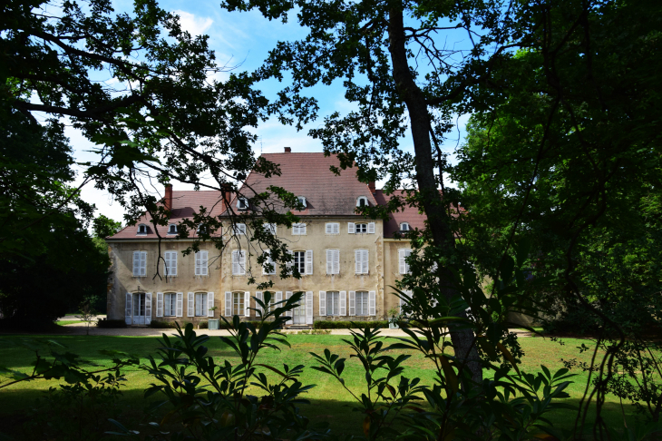 Château de Vallières - Saint-Georges-de-Reneins