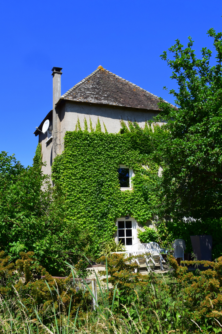 Pigeonnier - Saint-Georges-de-Reneins