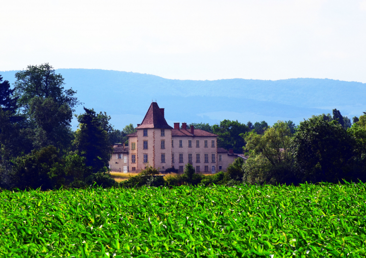 Boitray - Saint-Georges-de-Reneins