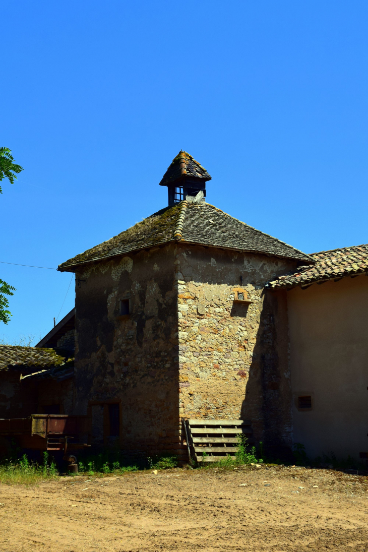 Pigeonnier Boitray - Saint-Georges-de-Reneins