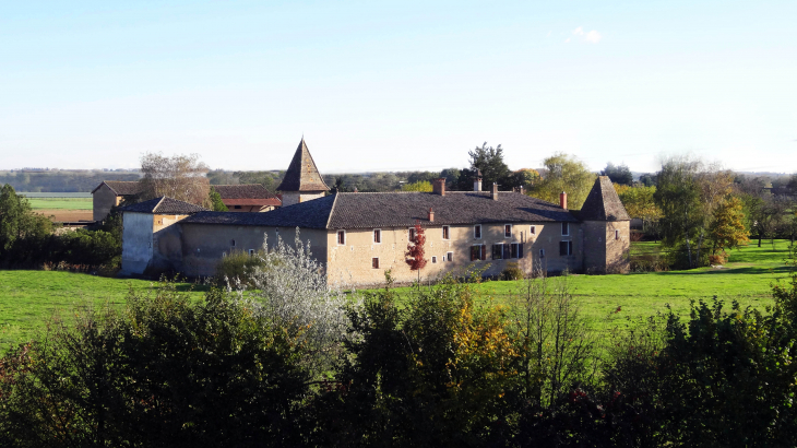 Château de Marzé - Saint-Georges-de-Reneins