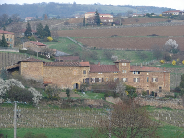 Aux environs du Bourg - Saint-Laurent-d'Oingt