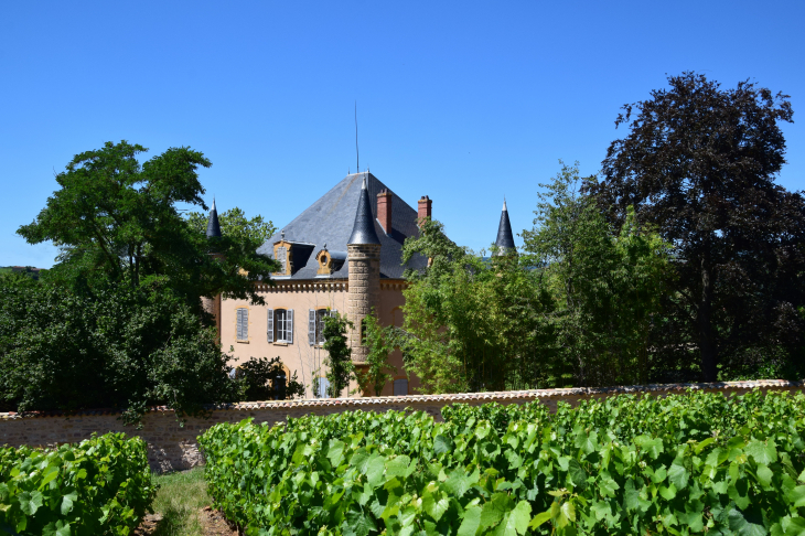 Château de La Foret - Saint-Laurent-d'Oingt
