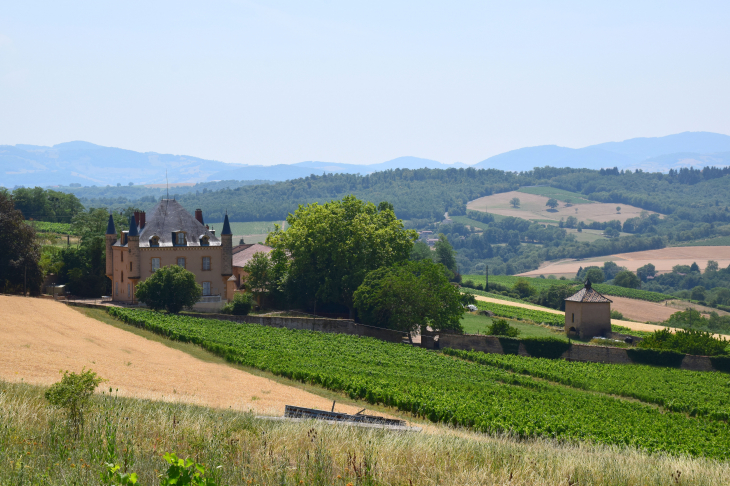 Château de la Foret - Saint-Laurent-d'Oingt