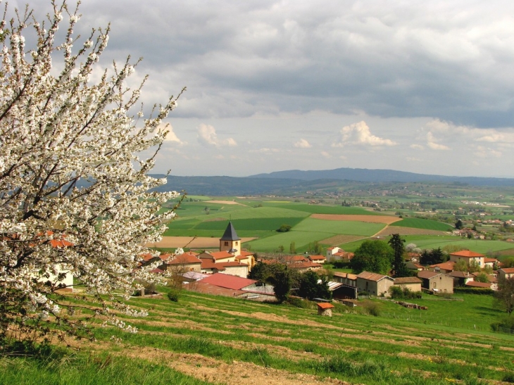 Saint-Loup vu de la route du 