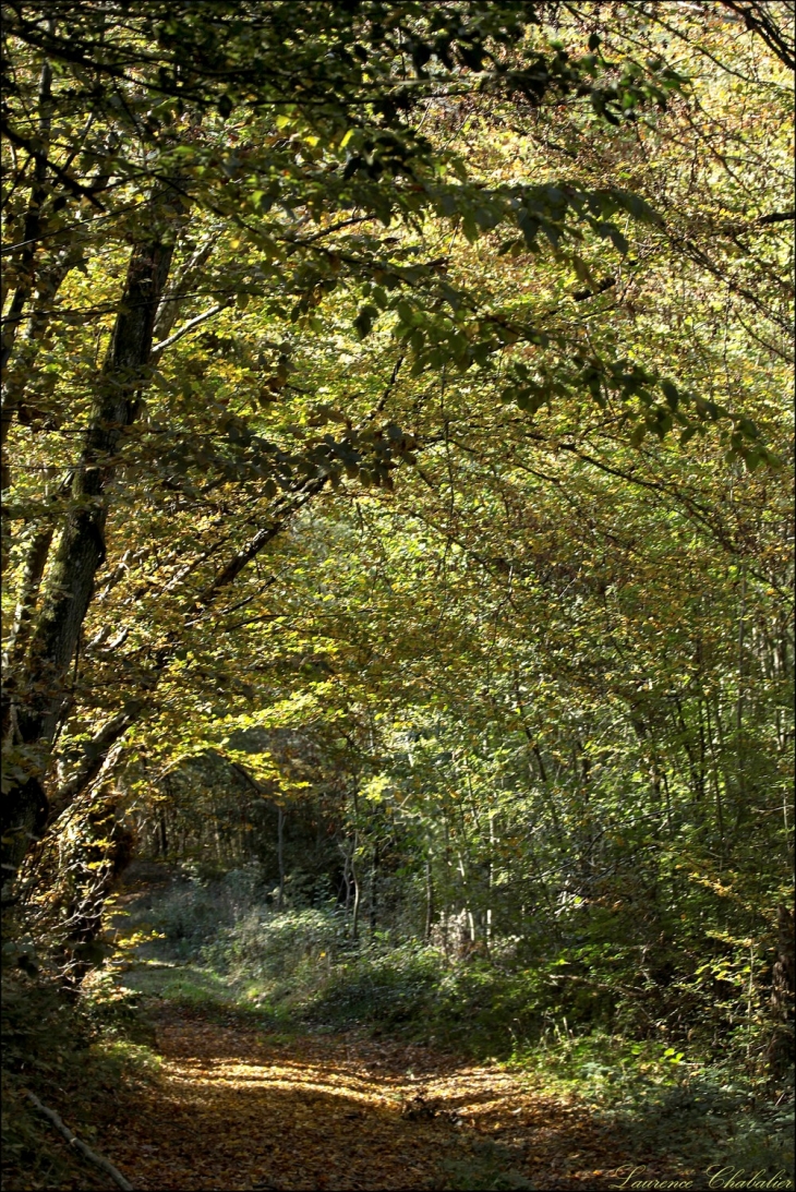 Le sentier chaleureux - Saint-Loup