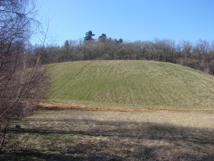 Le Terril - Saint-Pierre-la-Palud