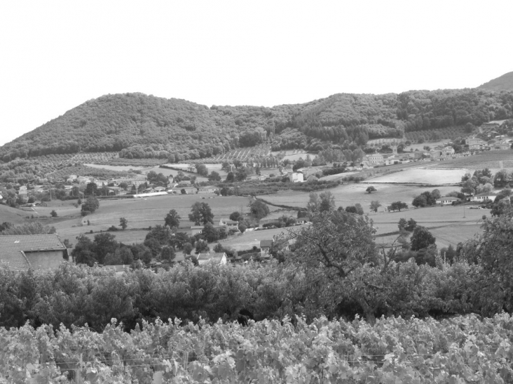 Vue du Village et Vignes - Saint-Romain-de-Popey