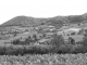 Vue du Village et Vignes