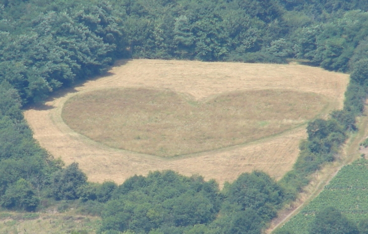 Un vrai faux Crop Circle ? - Saint-Vérand