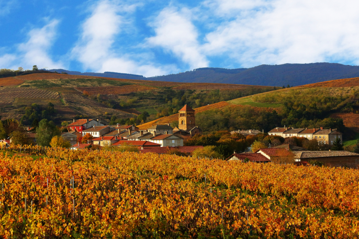 Vue panoramique - Salles-Arbuissonnas-en-Beaujolais