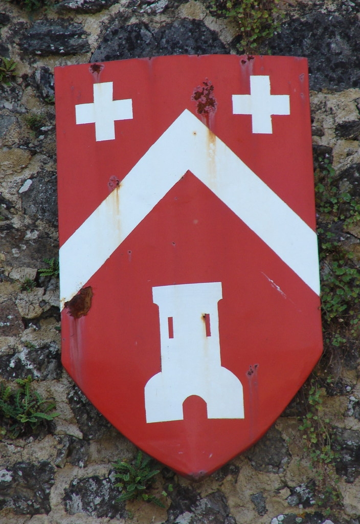 Le Blason de la Commune - Ternand