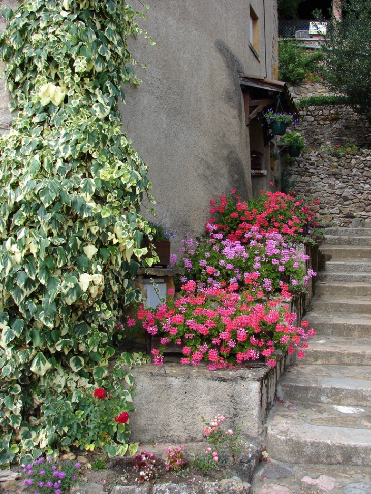 Un Village très fleuri ! - Ternand