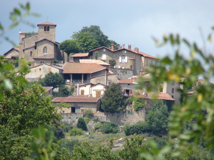 Vue d'ensemble du Village - Ternand