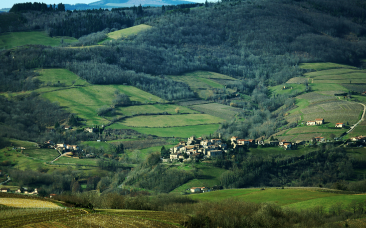 Vue panoramique - Ternand