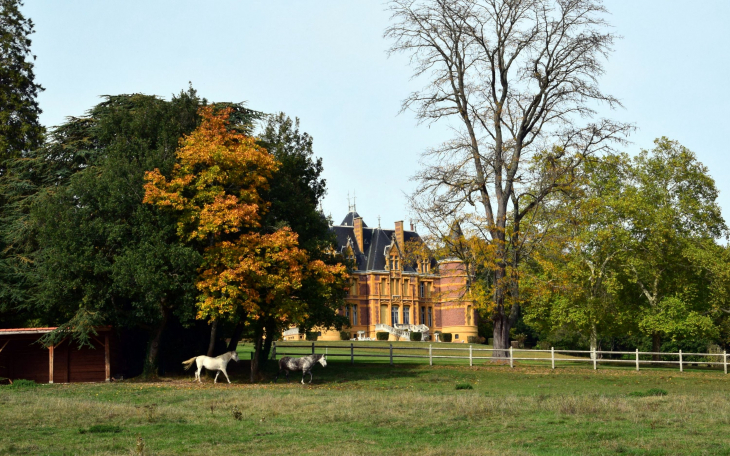 Château de la Flachère - Ternand