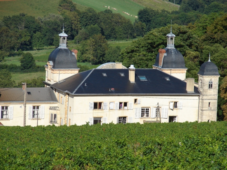 Le Château de Cruix - Theizé