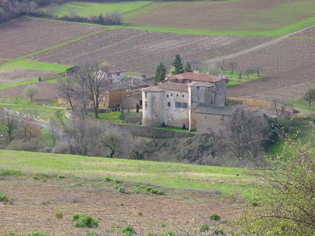 Chateau de rapetour - Theizé