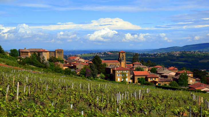 Vue panoramique - Theizé