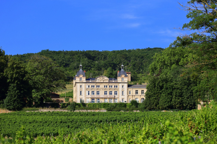 Château de Cruix - Theizé