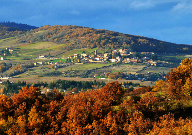 Vue panoramique - Theizé