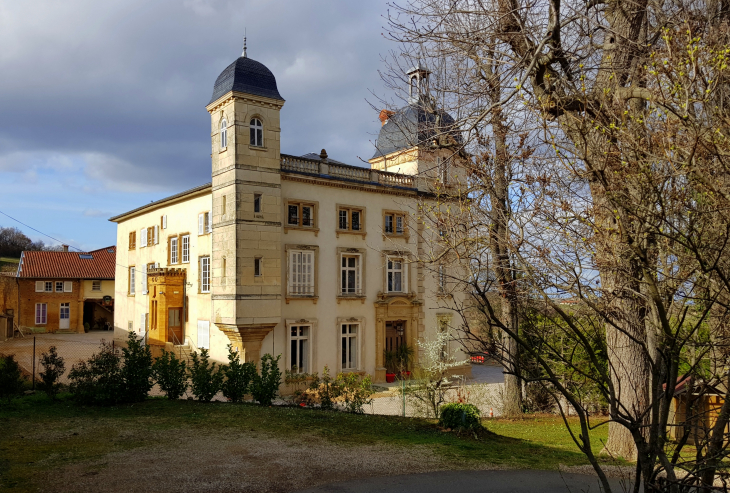 Château de Cruix - Theizé