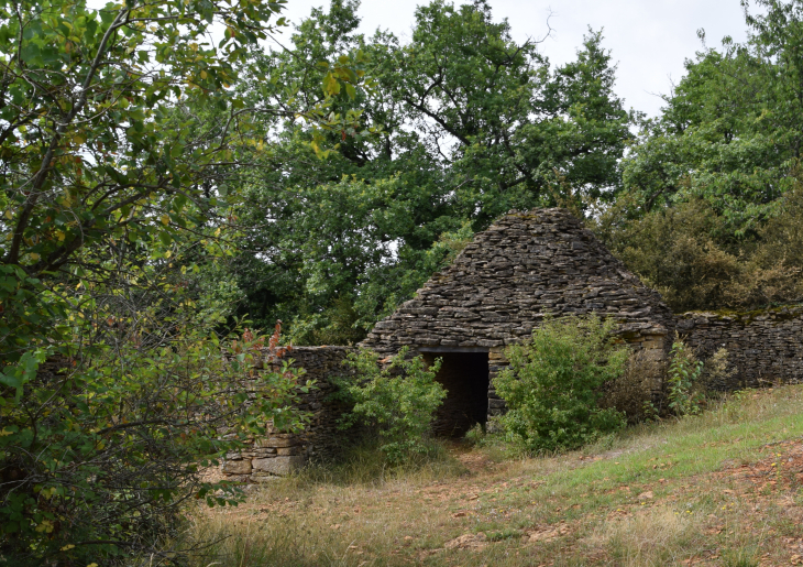 Cabane du clos - Theizé