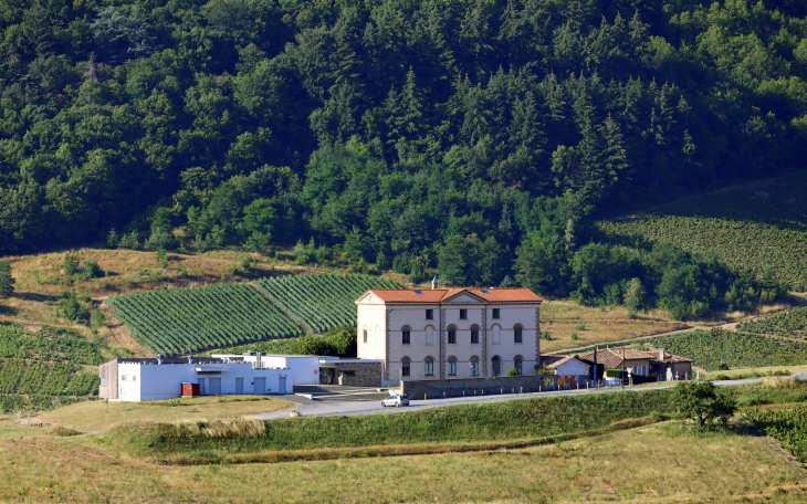 Ecole - Vaux-en-Beaujolais