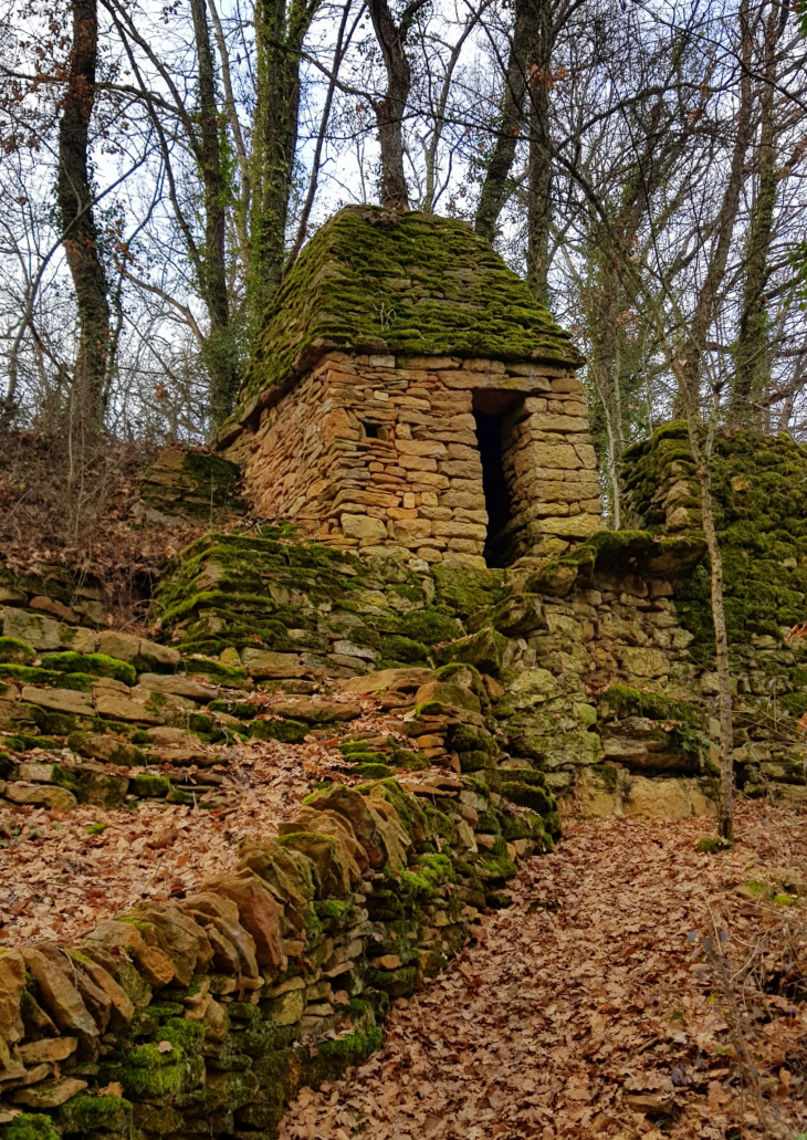 Bois de Collonge - Ville-sur-Jarnioux