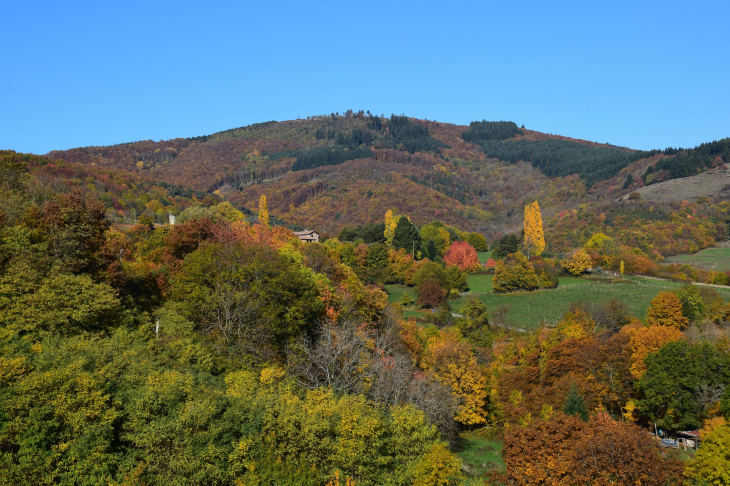 Automne - Ville-sur-Jarnioux