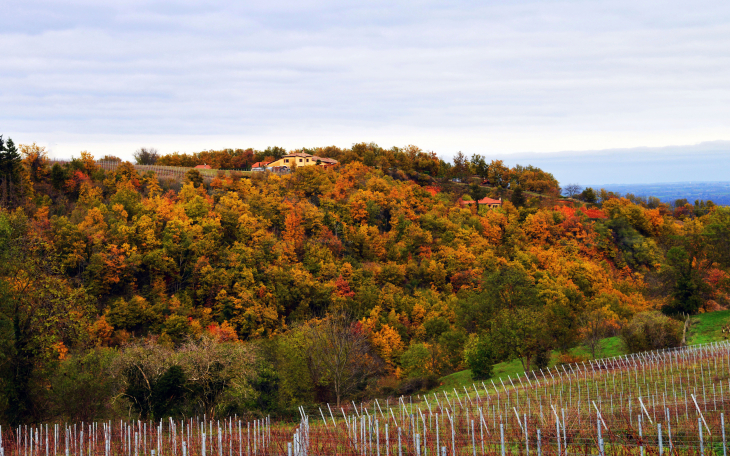 Automne - Ville-sur-Jarnioux