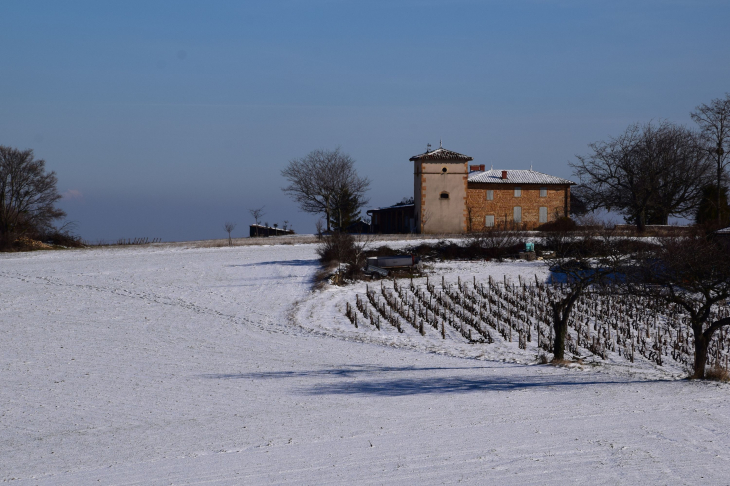 Neige à Tout-Vent - Ville-sur-Jarnioux