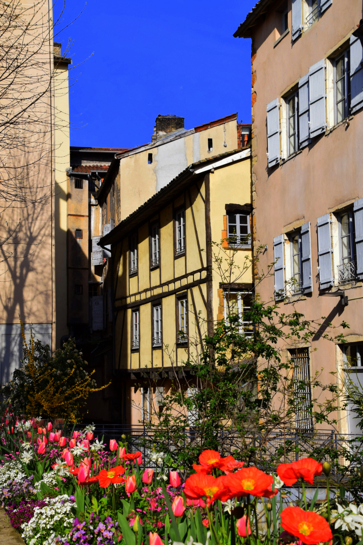 Maison Gayand - Villefranche-sur-Saône