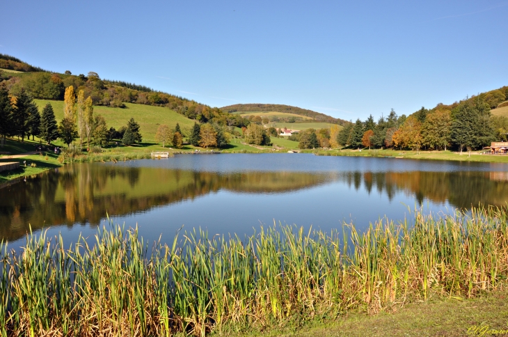 Lac du Ronzey - Yzeron